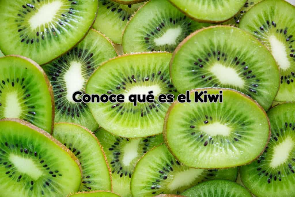 Conoce qué es el Kiwi - OneMoment.es