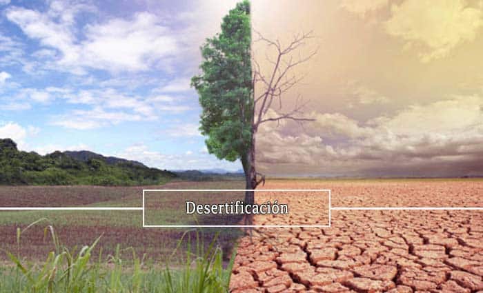 desertificacion-inminente